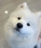 Vanny_